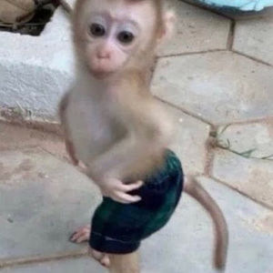 Meet your Posher, Jaden